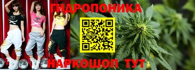 дмт Сланцы