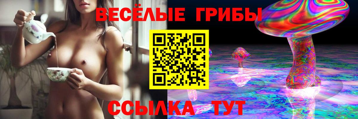 Петрозаводск  купить наркотики сайты  Вход с VPN  Псилоцибиновые грибы ЛСД 